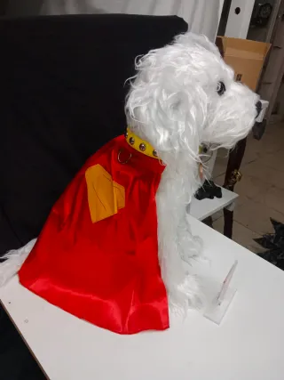 Krypto perro Superman