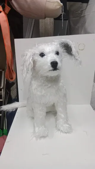 Krypto perro Superman