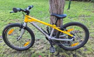 Bici Mondraker Leader de 20" ligera como nueva