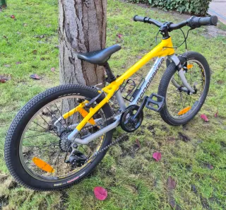 Bici Mondraker Leader de 20" ligera como nueva