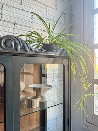 Vitrina antigua restaurada madera y cristal