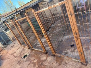 5 Puertas metálicas Hercules 1.60x1