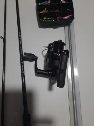 CAÑA Y CARRETE MÁS SEÑUELOS... ROCKFISHING