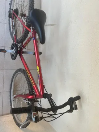 Bicicleta Orion Roja Montaña