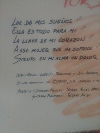 Vinilo Casta Por Derechos