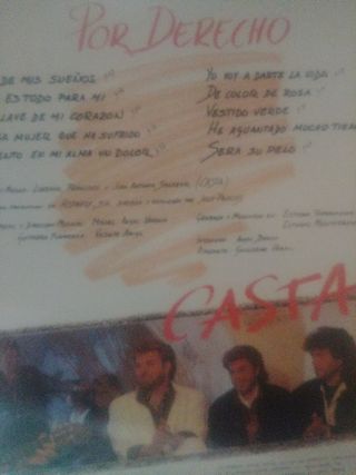 Vinilo Casta Por Derechos