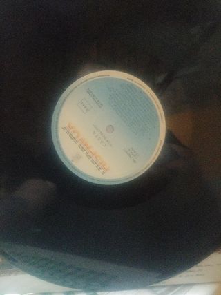 Vinilo Casta Por Derechos