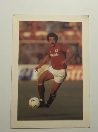 Cartolina Leo Junior