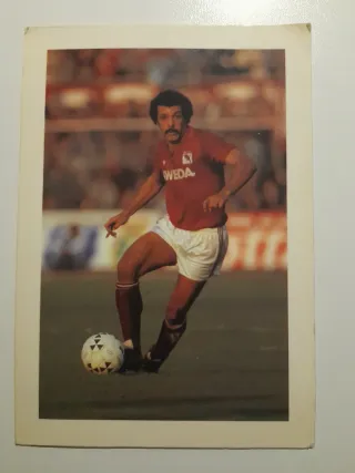 Cartolina Leo Junior