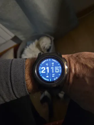 Reloj Garmin Fenix 7X Solar 51mm