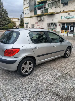 Peugeot 307 2006