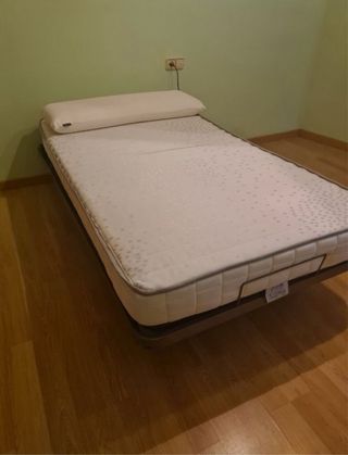 Cama eléctrica articulada