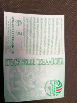 Vaso Ceramica Spigarelli Fiori Ciliegio