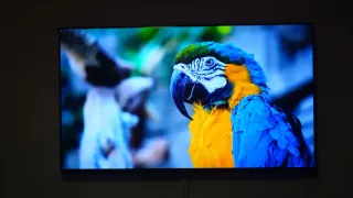 TV Sony Bravia OLED 55 XR A80J,4K