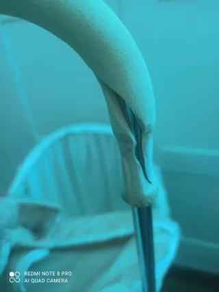 Coche de capota para muñecas