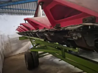 Corte de maíz Yunkax