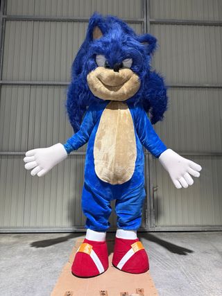 Disfraz Sonic Cabezudo Adulto
