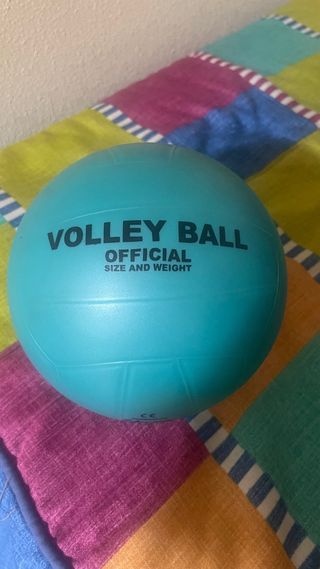 Pelota Voleibol Oficial