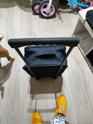 Maleta de viaje cuadros