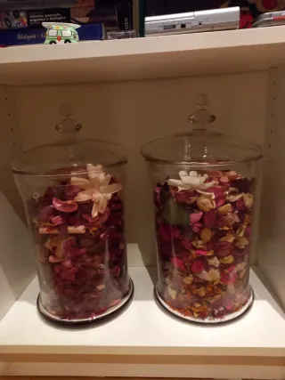 Coppia vasi in vetro