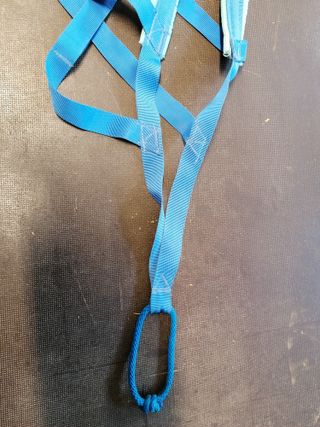 Pettorina Taiga per cani blu