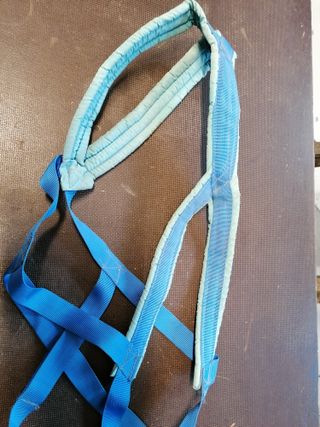 Pettorina Taiga per cani blu