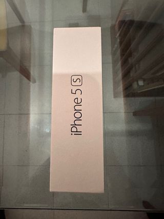 iPhone 5S Grigio Spaziale