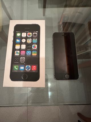 iPhone 5S Grigio Spaziale