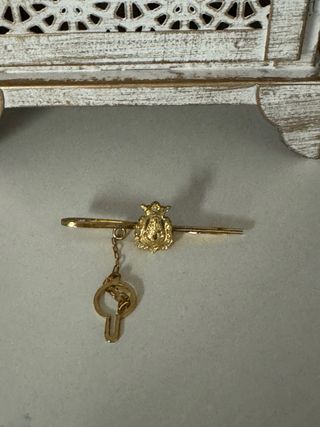 Pisacorbatas plata de ley con baño oro con cadena