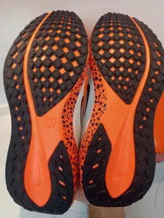 Nike Air Zoom Pegasus 41 OLY Talla 42