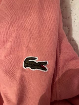 Conjunto Deportivo Lacoste Rosa