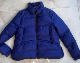 Plumas azul brillante novedoso