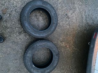 Neumáticos Pirelli Carrier 195/70 R15C