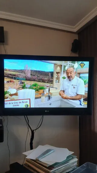 TV LG 50 Plasma con soporte de pared