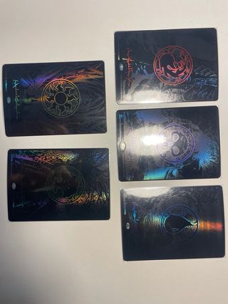 MTG Lote Completo Tierras Pyrexia