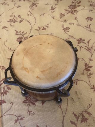 Bongo uruguayo profesional