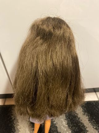 Barbie Teresa con vestito viola e argento