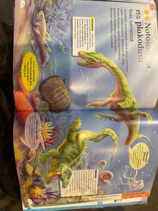 Itsas animalien entziklopedia