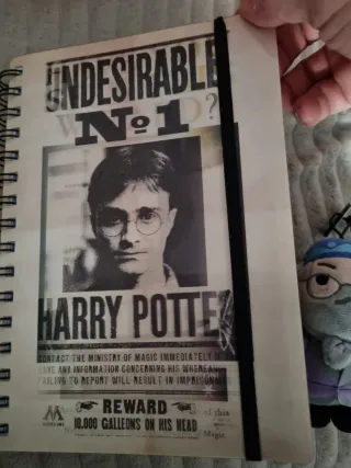 Lote Harry Potter
