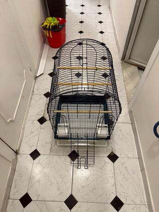 Jaula Loros/Ninfas 70x45x45cm