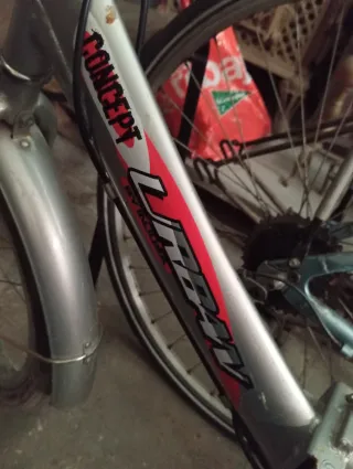 Bicicleta Plegable Urbana