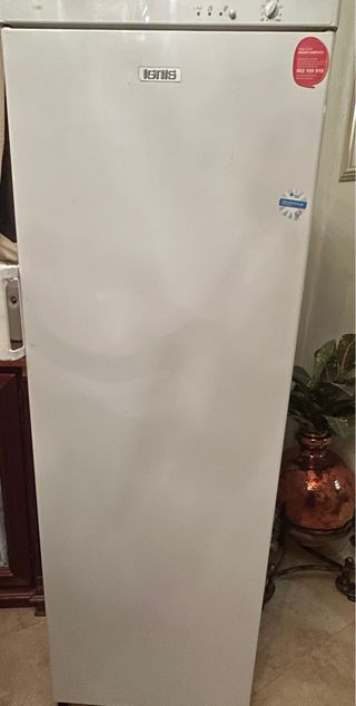 Congelador Vertical Ignis