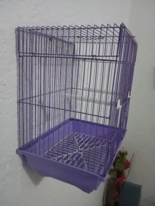Jaula para canarios morada