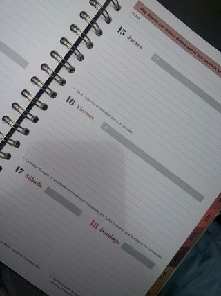 Agenda mister wonderful 2025-2026