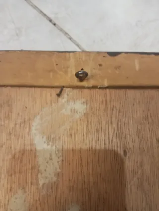 Pareja cuadros antiguos florales