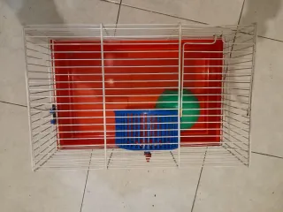 Jaula para hámster con accesorios 2×1