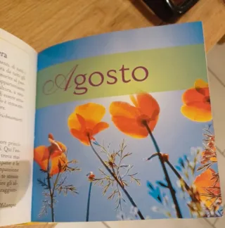 Felicità un anno di pensieri positivi