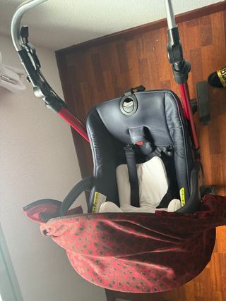 Carricoche Jane Crusswalk