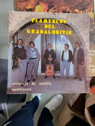 Tocadiscos Vinilo con Mando y Vinilos