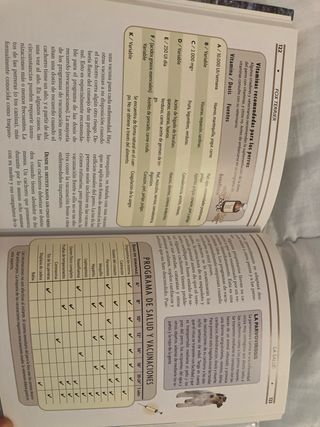 Fox Terrier (Excellence) (Spanish Edition)